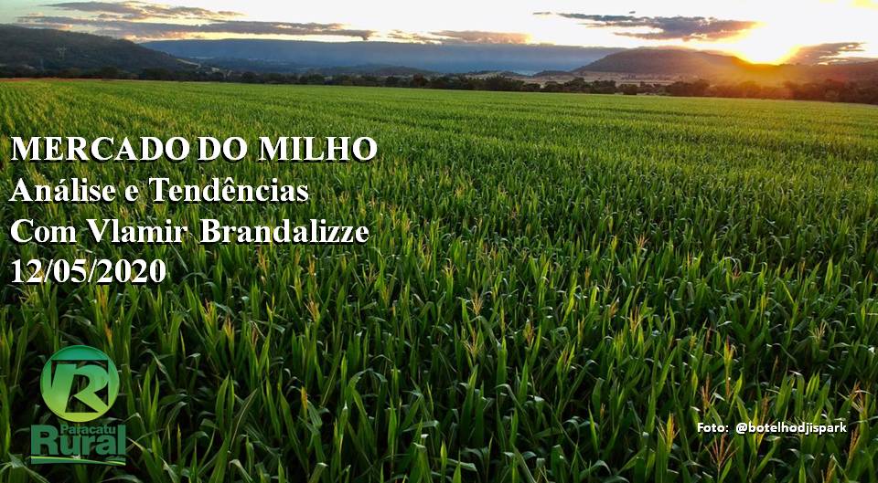 Mercado do Milho Análise e Tendências Maio de 2020 Paracatu Rural