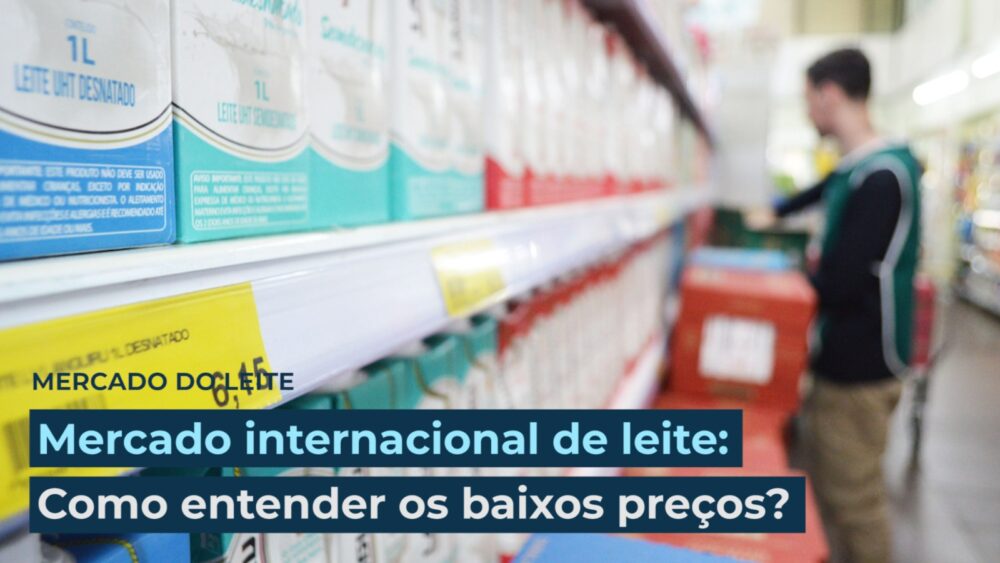 Mercado Internacional De Leite Como Entender Os Baixos Pre Os