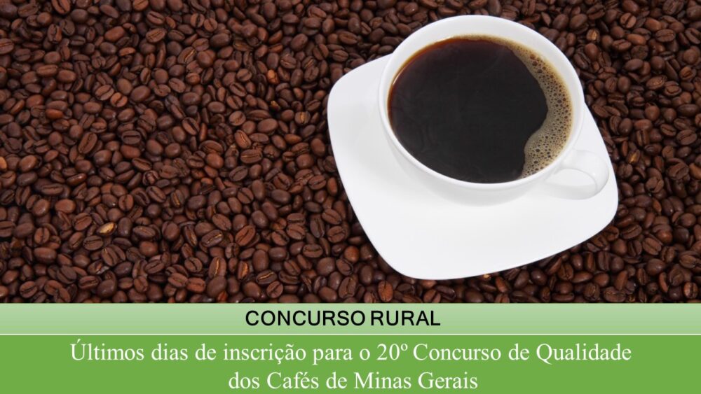 Últimos dias de inscrição para o 20º Concurso de Qualidade dos Cafés de