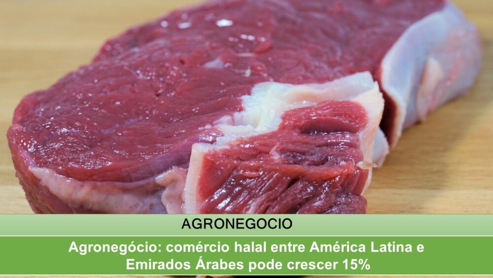 Agronegócio comércio halal entre América Latina e Emirados Árabes pode