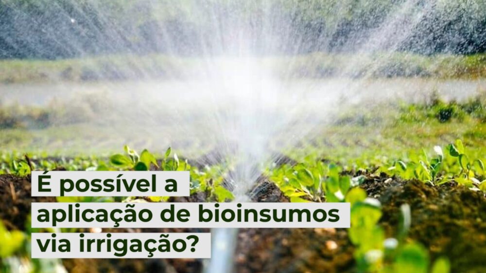 É possível a aplicação de bioinsumos via irrigação Paracatu Rural