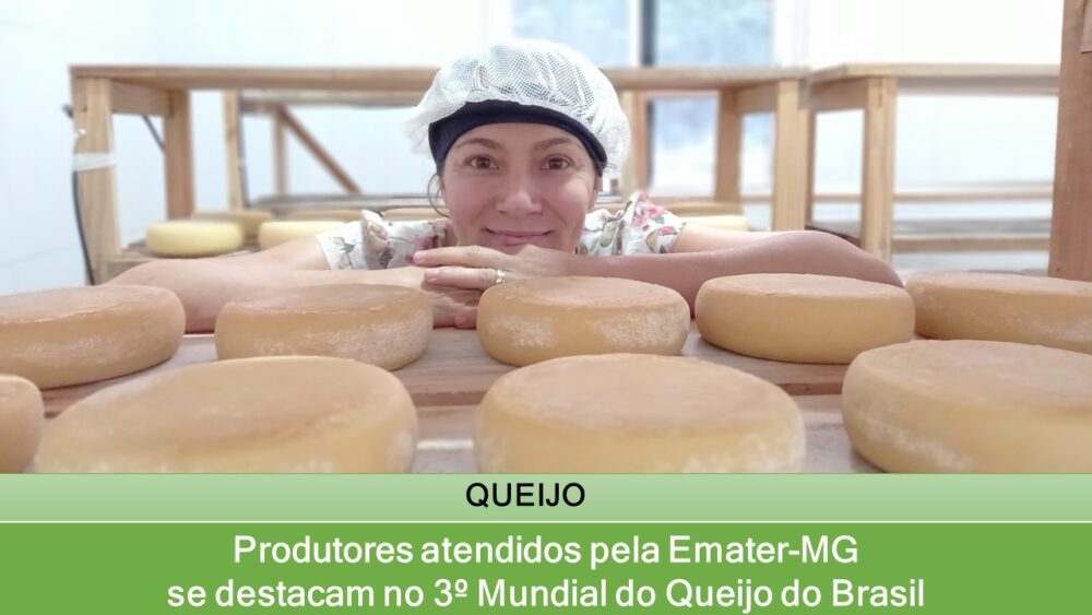 Produtores atendidos pela Emater MG se destacam no 3º Mundial do Queijo