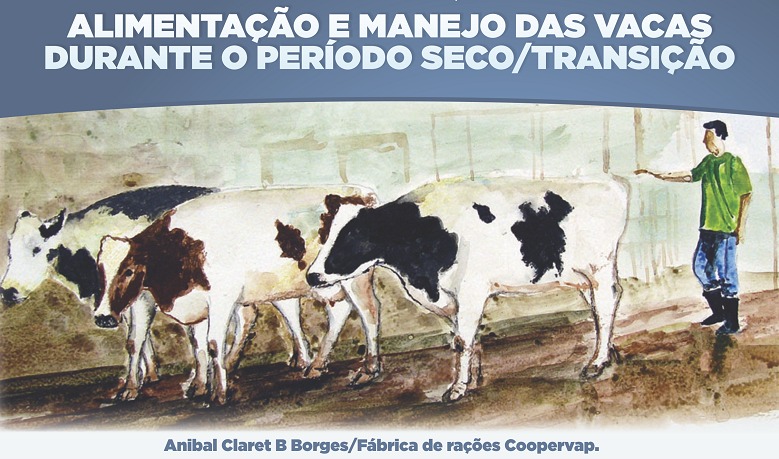 VACA LEITEIRA - IMPORTÂNCIA DO PERÍODO SECO