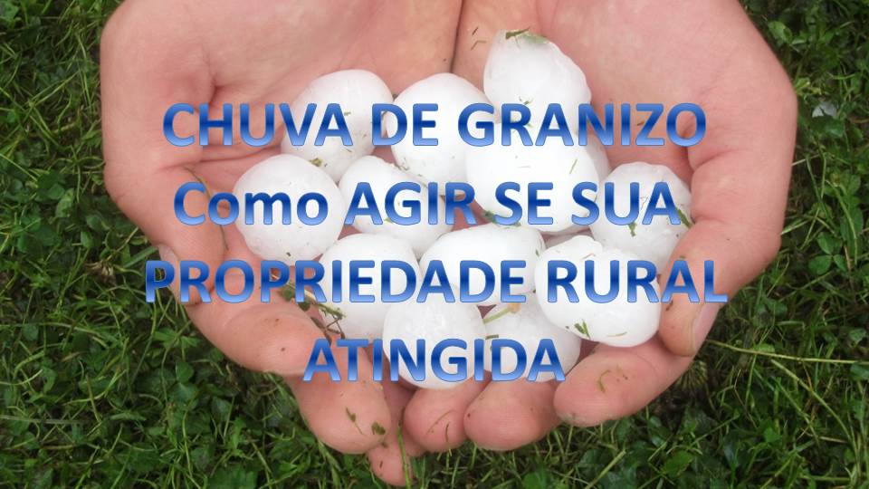 CHUVA DE GRANIZO - como agir se ocorrer em sua propriedade rural