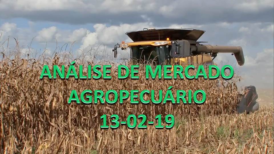 ANÁLISE DE MERCADO AGROPECUÁRIO