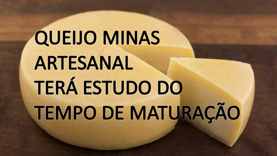 QUEIJO MINAS ARTESANAL terá estudo de tempo de maturação