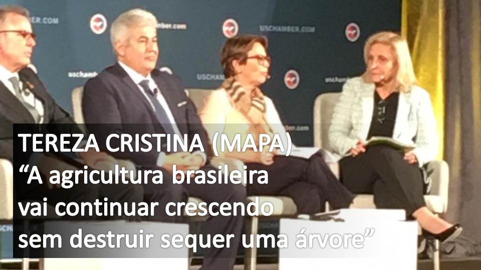 TEREZA CRISTINA “A agricultura brasileira vai continuar crescendo sem destruir sequer uma árvore”