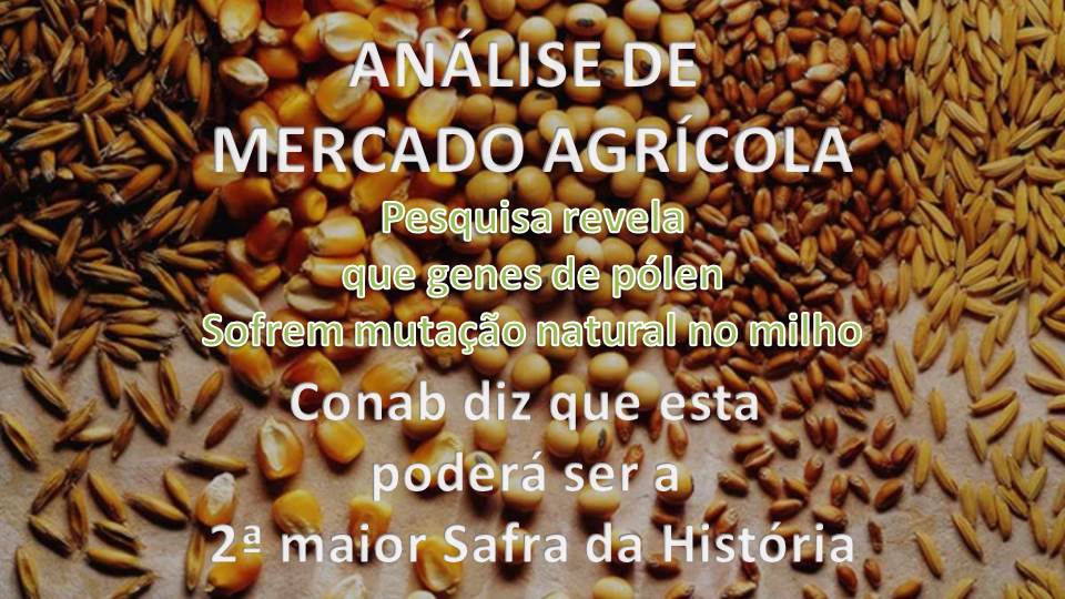 MERCADO AGRÍCOLA