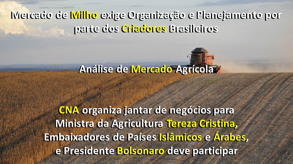 MERCADO AGROPECUÁRIO - notícias e análise - 10-04-19