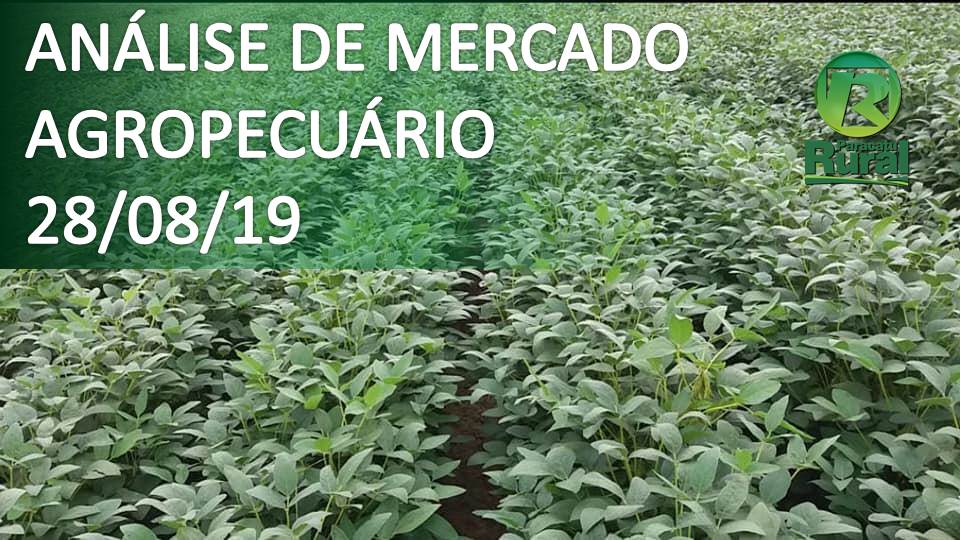 ANÁLISE DE MERCADO AGROPECUÁRIO 28-8-19