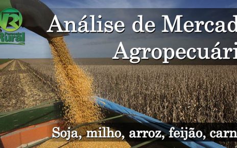 analise_mercado_agropecuario_11-9