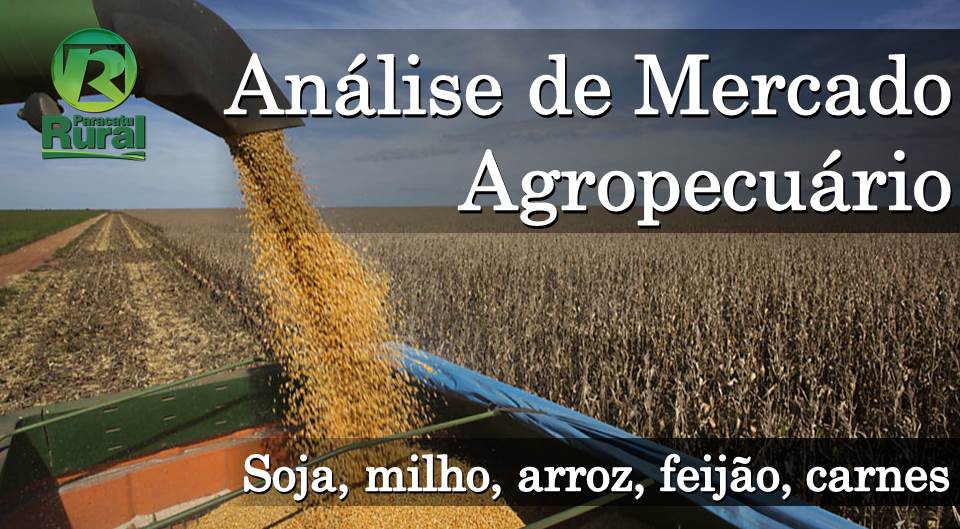 analise_mercado_agropecuario_11-9