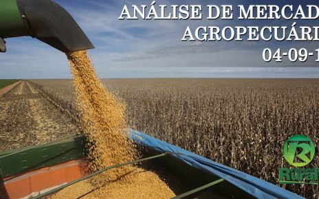 analise_mercado_agropecuario_4