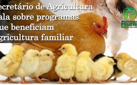 secretario_agricultura_pintinho