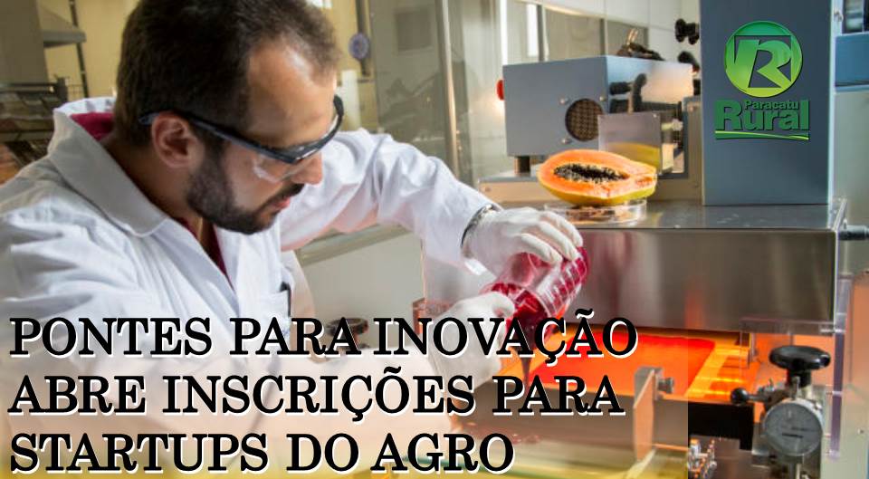 PONTES PARA INOVAÇÃO ABRE INSCRIÇÕES PARA STARTUPS DO AGRO