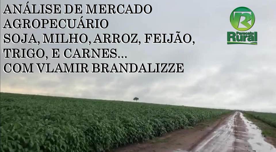 ANÁLISE DE MERCADO AGROPECUÁRIO - 23-10-19