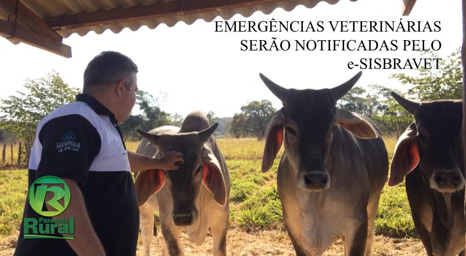 EMERGÊNCIAS VETERINÁRIAS SERÃO NOTIFICADAS PELO e-SISBRAVET