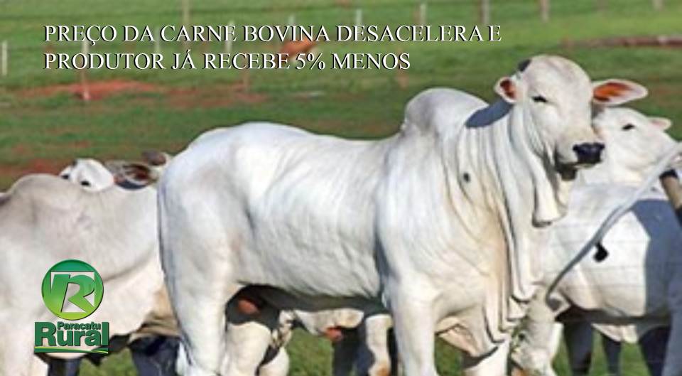 Preço da carne bovina desacelera e produtor já recebe 5% menos