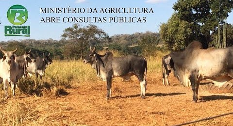 MINISTÉRIO DA AGRICULTURA ABRE CONSULTAS PÚBLICAS