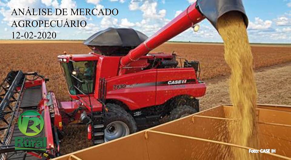 ANÁLISE DE MERCADO AGROPECUÁRIO - 12-02-2020