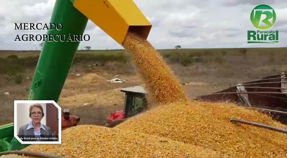 MERCADO AGROPECUÁRIO  - 22-02-2020