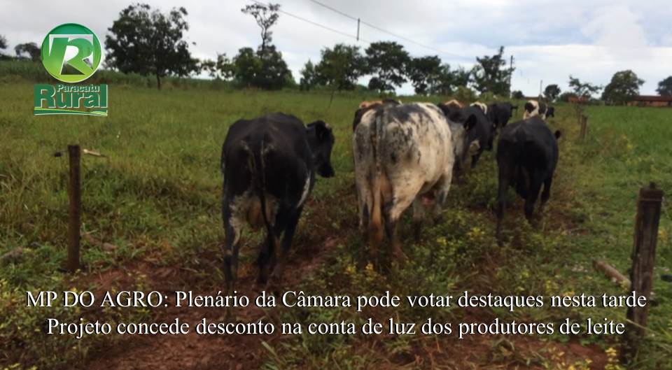 MP DO AGRO e DESCONTO NA CONTA DE LUZ DE PRODUTOR DE LEITE