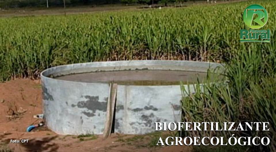 Retrospectiva 2020 - Dica Técnica: Como Preparar Biofertilizante Agroecológico