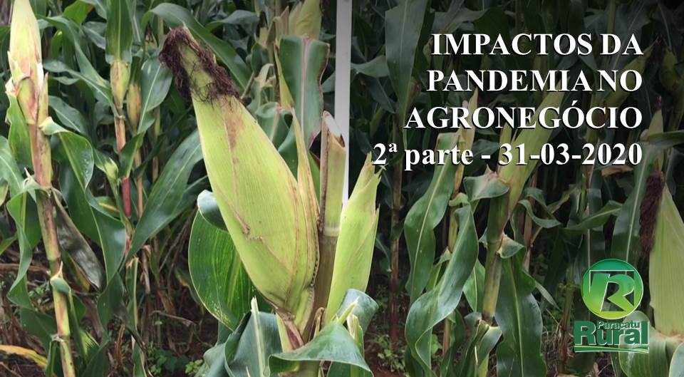 IMPACTOS DA PANDEMIA NO AGRONEGÓCIO - 2ª parte - 31-03-2020