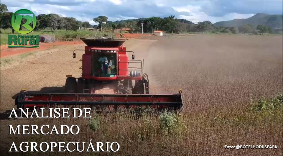 MERCADO DO AGRONEGÓCIO - ANÁLISE 11-03-2020 com Vlamir Brandalizze