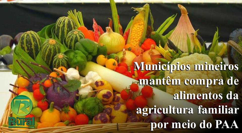 Municípios mineiros mantêm compra de alimentos da agricultura familiar por meio do PAA