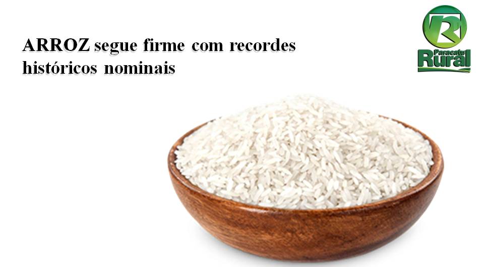 ARROZ segue firme com recordes históricos nominais