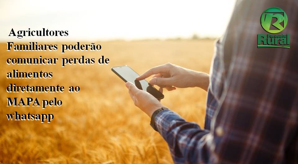 Agricultores Familiares poderão comunicar perdas de alimentos diretamente ao MAPA pelo whatsapp