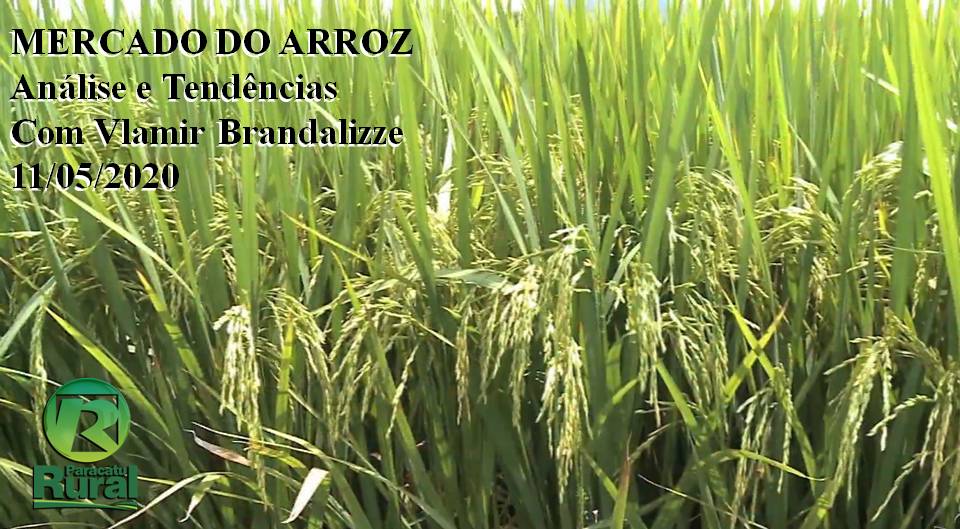 Mercado do Arroz - Análise e Tendências - Maio de 2020