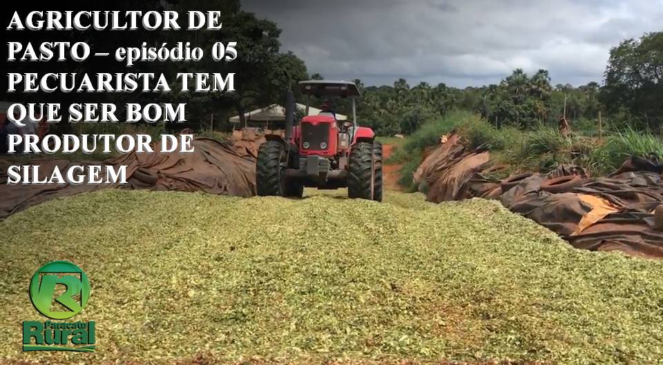 Pecuarista tem que ser bom produtor de SILAGEM - Agricultor de Pasto – 5º episódio