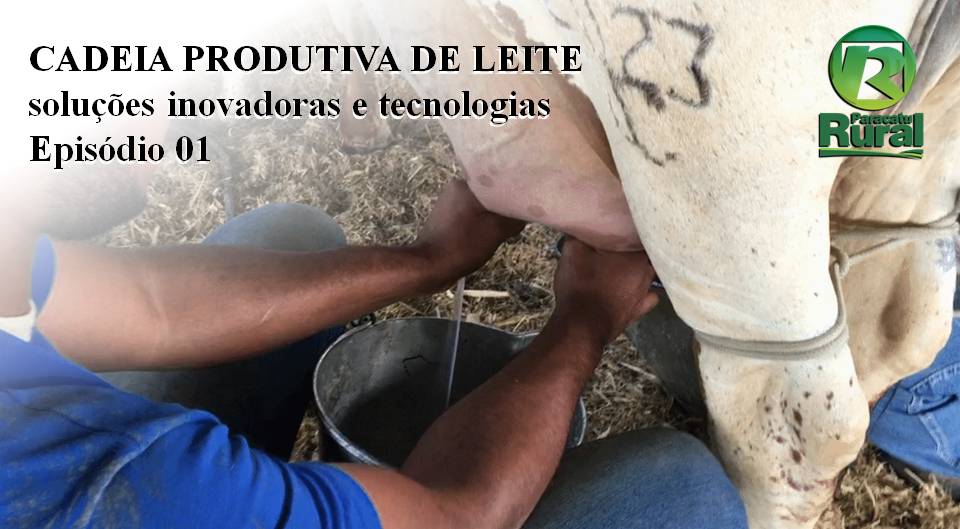 CADEIA PRODUTIVA DE LEITE - soluções inovadoras e tecnologias