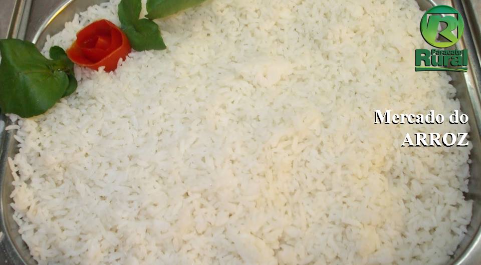 Mercado do ARROZ bastante firme no Brasil