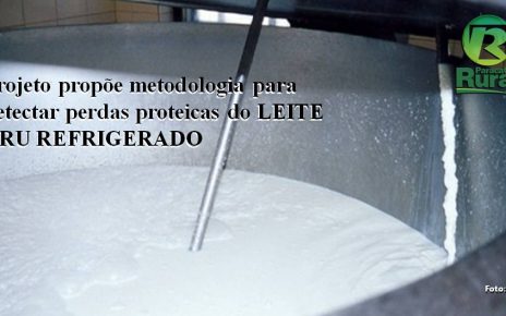Projeto propõe metodologia para detectar perdas proteicas do LEITE CRU REFRIGERADO