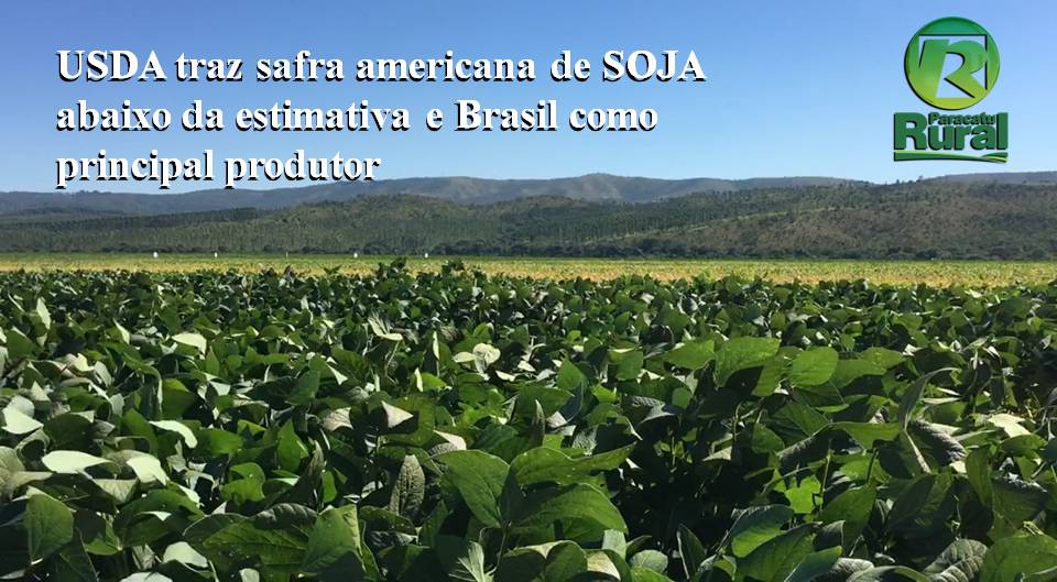 USDA traz safra americana de SOJA abaixo da estimativa e Brasil como principal produtor