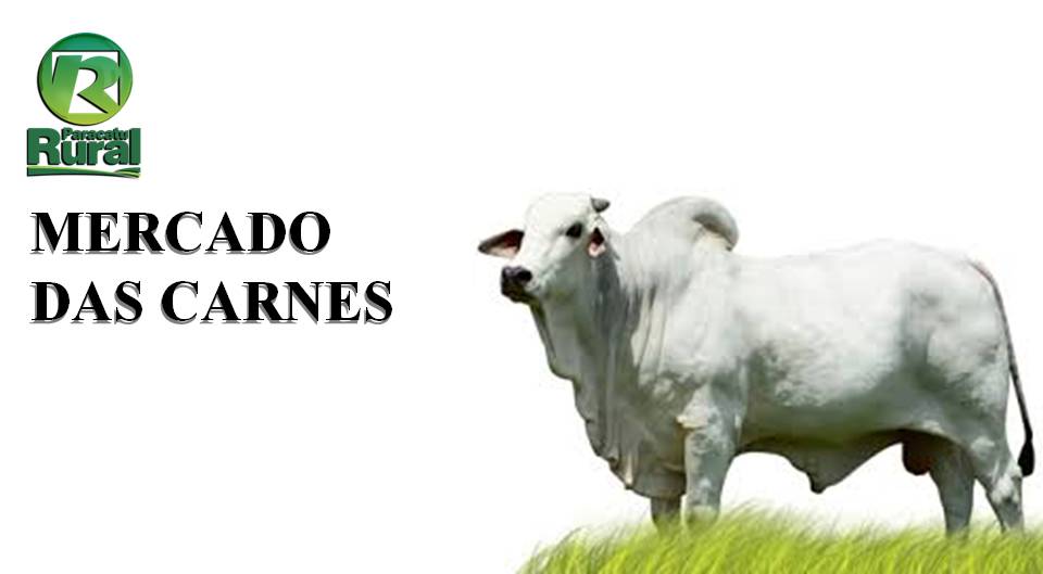 Exportação das carnes brasileiras continua em níveis recordes apesar da suspensão por parte da China de quatro frigoríficos