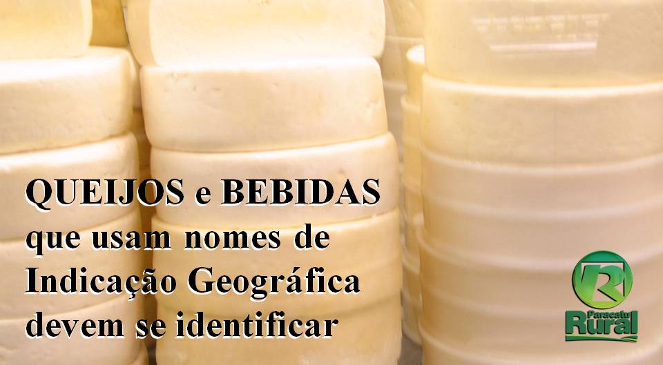 Produtores de QUEIJO e bebidas que usam nomes de Indicação Geográfica devem se identificar