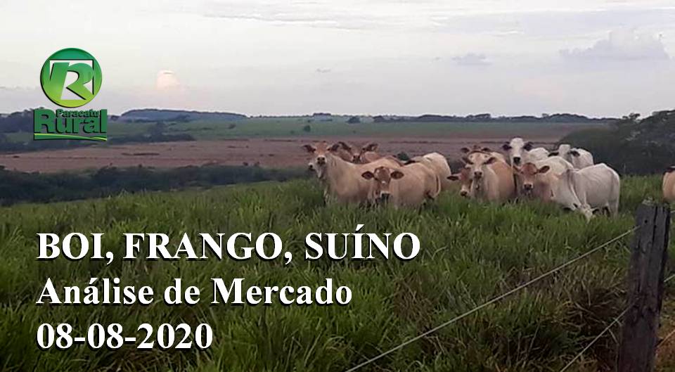 BOI, FRANGO, SUÍNO - Análise de Mercado - 08-08-2020