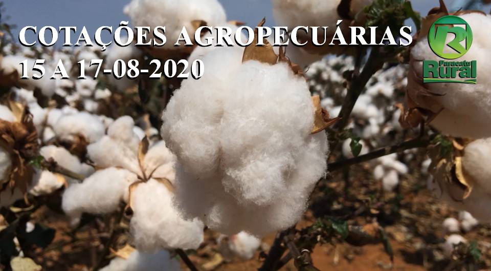 Cotações Agropecuárias - 15 a 17-08-2020