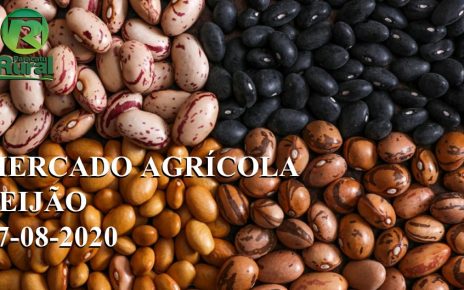 mercado agricola feijao 27-08-2020