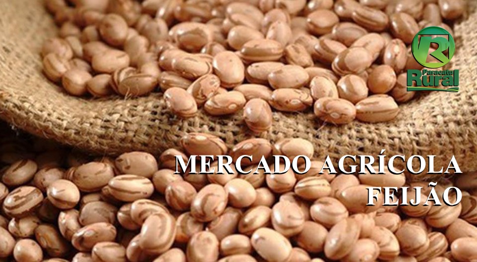 Mercado Agrícola - FEIJÃO - 29 - 08 - 2020