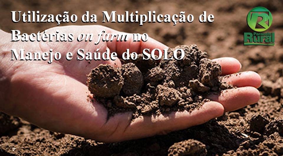 Utilização da Multiplicação de Bactérias on farm no Manejo e Saúde do SOLO