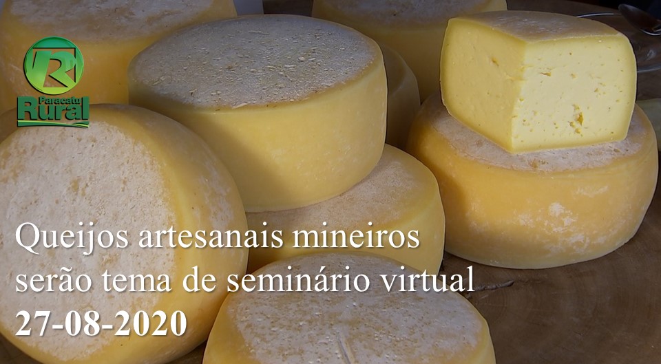 Queijos artesanais mineiros serão tema de seminário virtual