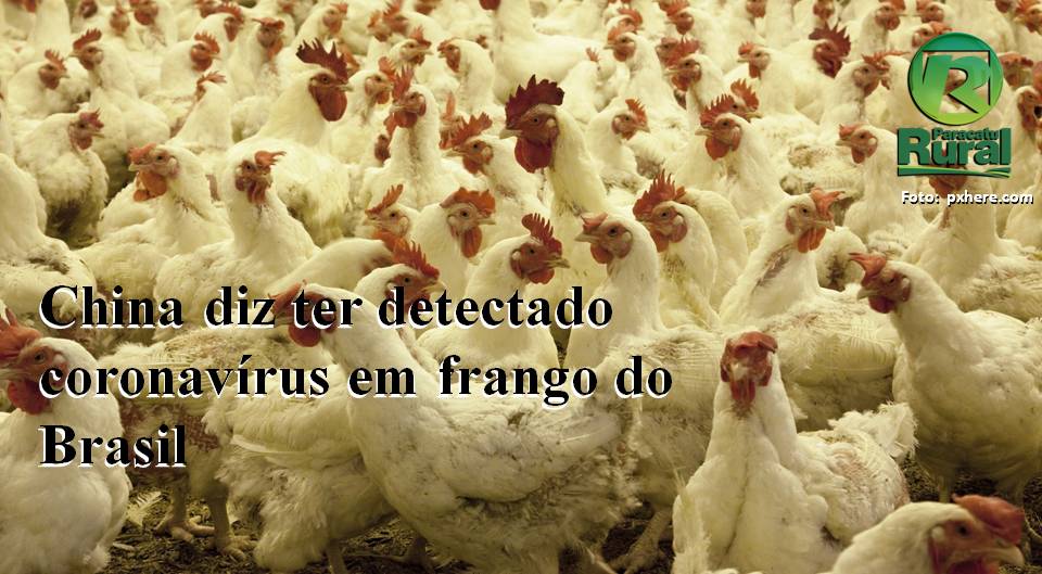 China diz ter detectado coronavírus em frango do Brasil