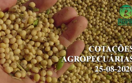 cotacoes agropecuarias 25-08-2020