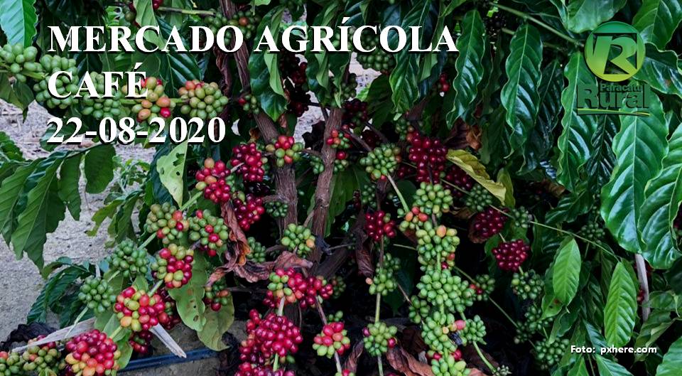 Mercado Agrícola - CAFÉ - 22-08-2020