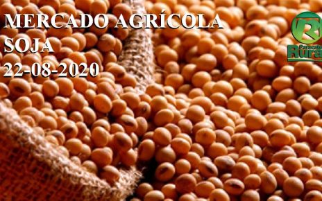 mercado agricola SOJA 22-08-2020